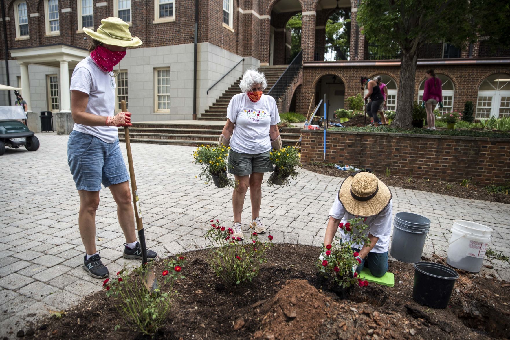 Sweet Briar Sweet Work Week